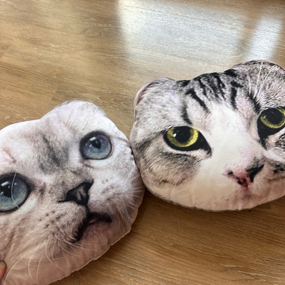 Taylor Swift Meredith & Olivia Pillows Original Merch (Rep Era) - Picture 2 of 7
